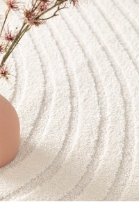 Ковер Cocoon 59882-066 S3 200х289