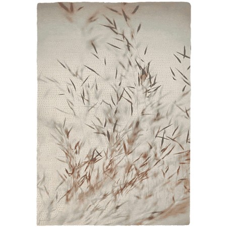 Ковер Resist 68516-051 200х290