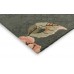 Ковер Aylworth Trail Fern Green 78607 250х350