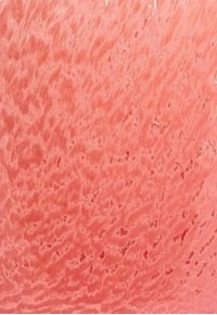 Ваза V.Cylinder sweet 30x15 см