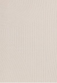 Ковер Textura 488-12-LA100 240х340