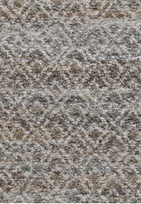 Ковер Nomad 26017-6262 240x340