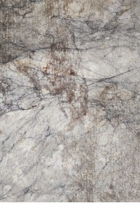 Ковер из войлока Tumar Ак-175-1 200x300 Ковер из войлока Tumar Ак-175-1 200x300